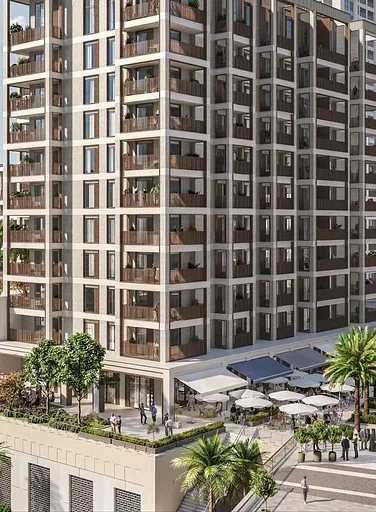 Summer - Provident Estate